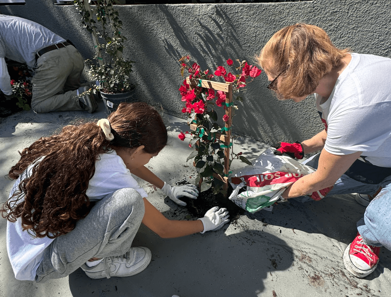 volunteer at chapman partnership miami 